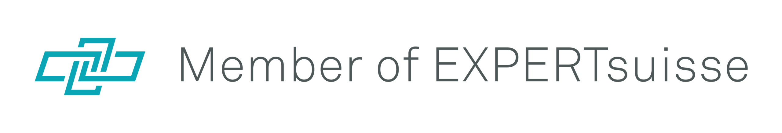 Logo EXPERTsuisse